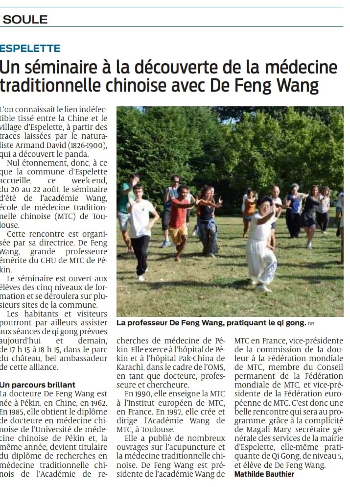 Stage d'Été : article du Sud Ouest