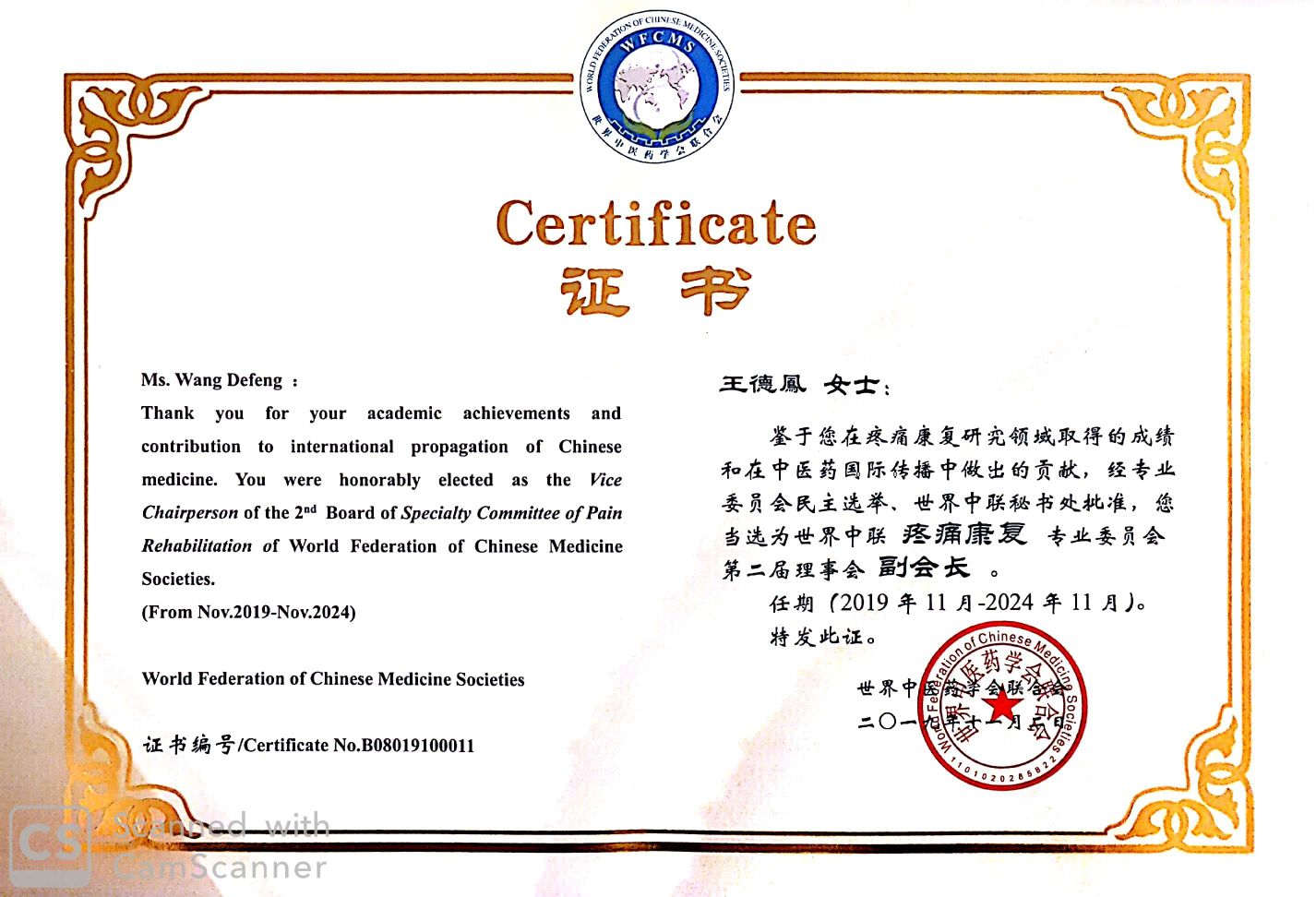 certificat vice presidence commission de la douleur federation mondiale mtc