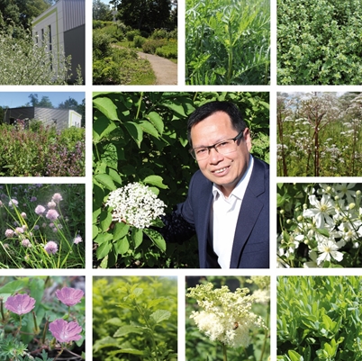 Professeur Yulin JIANG présentant plantes du jardin botanique médical