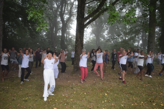 Stage d'été 2020 Qi Gong 