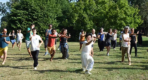https://www.awmtc.fr/wp-content/uploads/2023/08/VISUEL_CYCLE-1_CURSUS-QI-GONG_FIN-ANNEE-2-rognee-jpg.webp