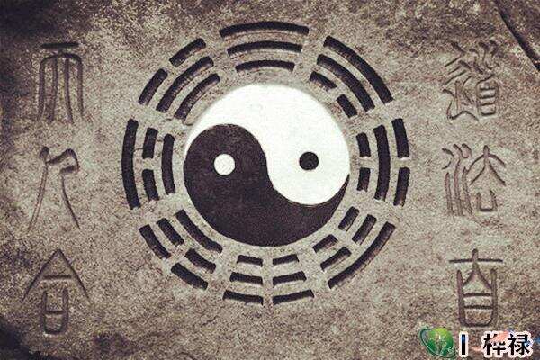 Ying Yang : principes de la MTC