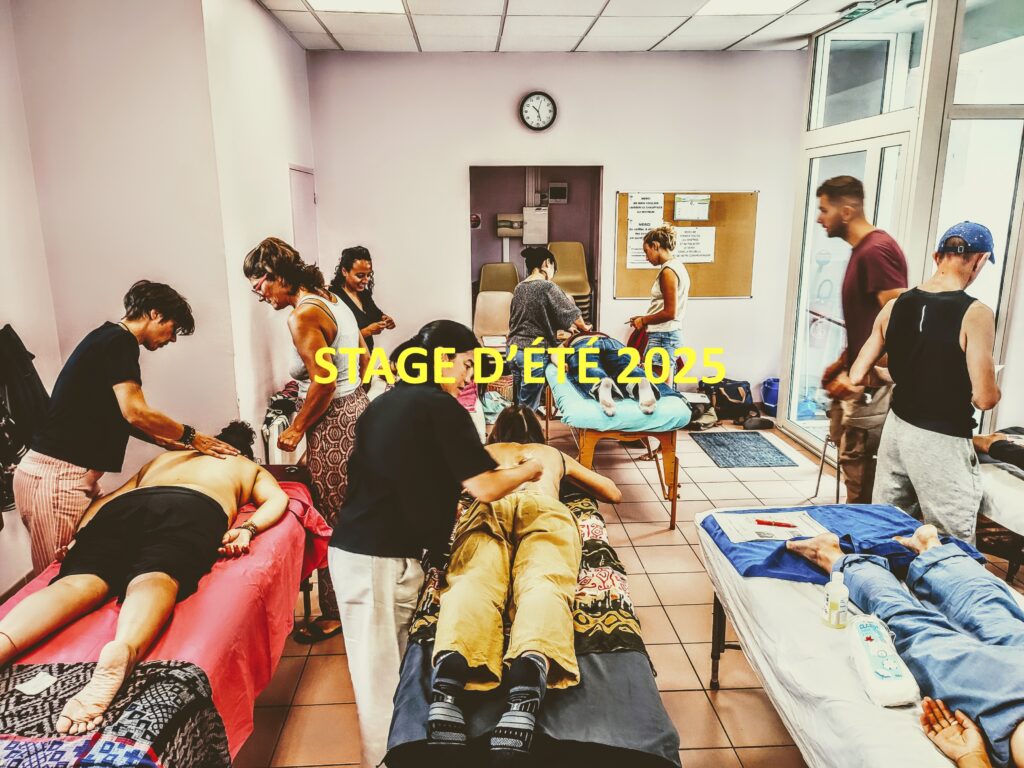 ÉNERGIES D’ÉTÉ A SALLÈLES D’AUDE : RETOUR SUR NOTRE STAGE DE MEDECINE TRADITIONNELLE CHINOISE