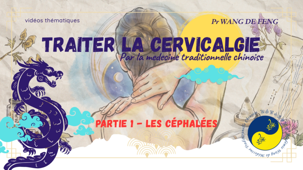 NOUVELLE VIDÉO THÉMATIQUE SUR LA CERVICALGIE ET SES AFFECTIONS LIÉES !