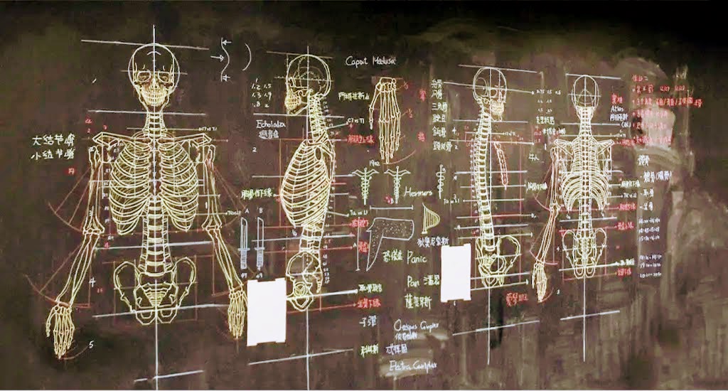 OUVERTURE DES INSCRIPTIONS AU CURSUS D&rsquo;ANATOMIE PHYSIOLOGIE – SESSION 2027